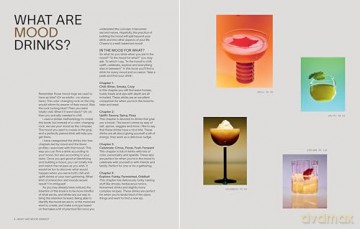 Mood Drinks: Alcohol-Free Cocktails to Create the Perfect Mood - Gabriel Cabrera [KSIĄŻKA]