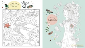 Creative Colouring: Inspirational Artworks to Spark Your Imagination - Tracey Kelly [KSIĄŻKA]