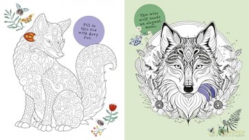 Creative Colouring: Inspirational Artworks to Spark Your Imagination - Tracey Kelly [KSIĄŻKA]