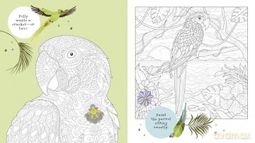 Creative Colouring: Inspirational Artworks to Spark Your Imagination - Tracey Kelly [KSIĄŻKA]