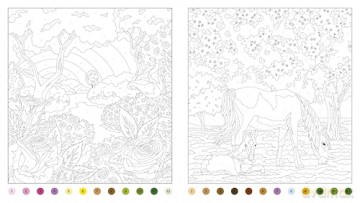 Enchanted Garden: A Colour-by-Numbers Adventure (Arcturus Creative Colour by Numbers) - Georgie Fearns [KSIĄŻKA]