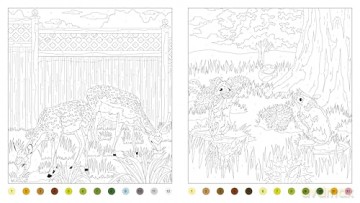 Enchanted Garden: A Colour-by-Numbers Adventure (Arcturus Creative Colour by Numbers) - Georgie Fearns [KSIĄŻKA]