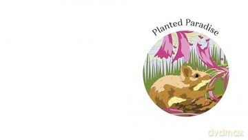 Enchanted Garden: A Colour-by-Numbers Adventure (Arcturus Creative Colour by Numbers) - Georgie Fearns [KSIĄŻKA]