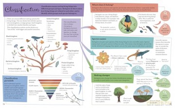 Mind Maps: Biology for Kids - Anna Claybourne [KSIĄŻKA]