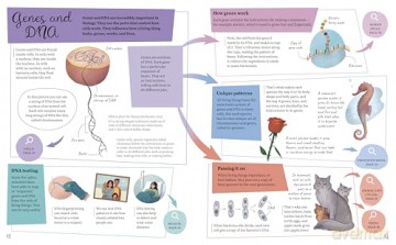 Mind Maps: Biology for Kids - Anna Claybourne [KSIĄŻKA]