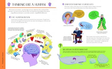 Psychology for Curious Kids: An illustrated introduction to brain science, identity, mental health, and more! - Anna Claybourne [KSIĄŻKA]