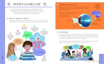 Psychology for Curious Kids: An illustrated introduction to brain science, identity, mental health, and more! - Anna Claybourne [KSIĄŻKA]