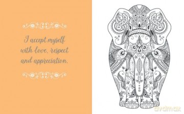 The Beautiful Affirmations Colouring Book: Over 45 Designs (Arcturus Creative Colouring) - Tansy Willow [KSIĄŻKA]