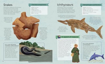The Fossil Hunter Handbook: Identification Guides for 50 Key Fossils (Arcturus Explorer Handbooks) - William Potter [KSIĄŻKA]