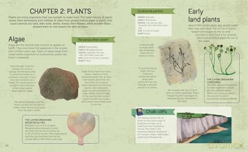The Fossil Hunter Handbook: Identification Guides for 50 Key Fossils (Arcturus Explorer Handbooks) - William Potter [KSIĄŻKA]