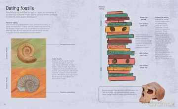 The Fossil Hunter Handbook: Identification Guides for 50 Key Fossils (Arcturus Explorer Handbooks) - William Potter [KSIĄŻKA]
