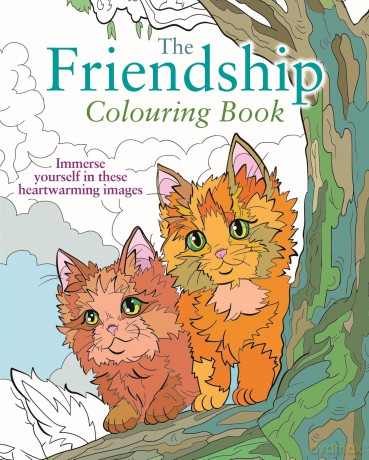 The Friendship Colouring Book: Immerse yourself in these heartwarming images (Arcturus Creative Colouring) - Tansy Willow [KSIĄŻKA]