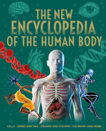 The New Encyclopedia of the Human Body: Cells, Genes and DNA, Organs and Systems, the Brain, and More! (Arcturus New Encyclopedias) - Claudia Martin [KSIĄŻKA]