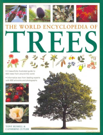 The World Encyclopedia of Trees - Tony Russell [KSIĄŻKA]