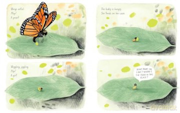 The Monarch (Honeybee and Friends) - Kirsten Hall [KSIĄŻKA]