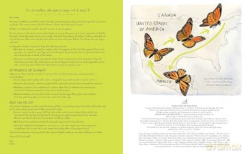 The Monarch (Honeybee and Friends) - Kirsten Hall [KSIĄŻKA]