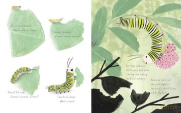The Monarch (Honeybee and Friends) - Kirsten Hall [KSIĄŻKA]