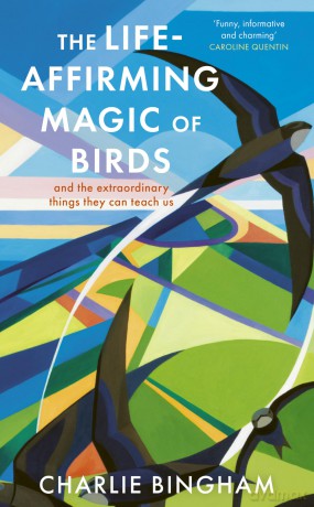 The Life-Affirming Magic of Birds: and the extraordinary things they can teach us - Charlie Bingham [KSIĄŻKA]