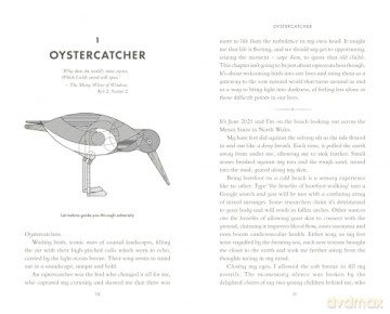 The Life-Affirming Magic of Birds: and the extraordinary things they can teach us - Charlie Bingham [KSIĄŻKA]