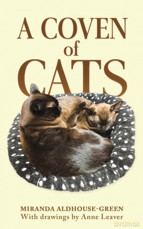 A Coven of Cats - Miranda Aldhouse-Green [KSIĄŻKA]