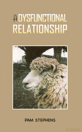 A Dysfunctional Relationship - Pam Stephens [KSIĄŻKA]