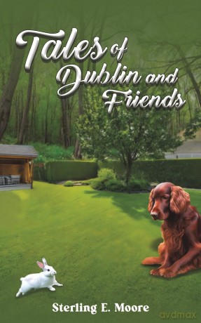 Tales of Dublin and Friends - Sterling E. Moore [KSIĄŻKA]