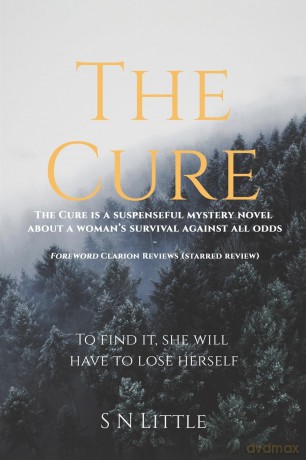 The Cure: To Find It, She Will Have to Lose Herself - S N Little [KSIĄŻKA]