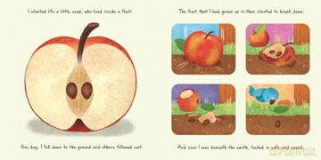 Little Apple Tree (An illustrated story about the life-cycle of an apple tree) [KSIĄŻKA]