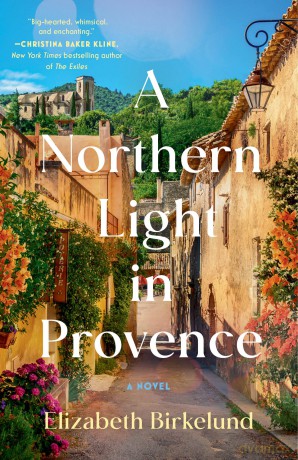 A Northern Light in Provence: A Novel - Elizabeth Birkelund [KSIĄŻKA]