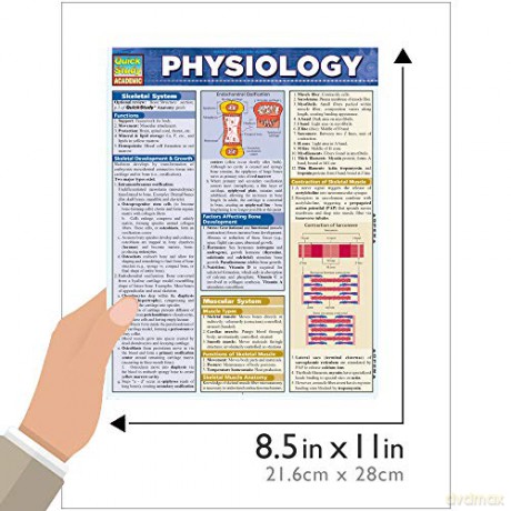 Physiology (Quick Study Academic) - W Randy Brooks [KSIĄŻKA]