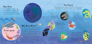 A Hole in the Bottom of the Sea (Barefoot Baby-Proof) - Jessica Law [KSIĄŻKA]