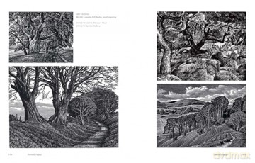 Forests, Woods and Groves: Art from the Arborealists - Philippa Beale [KSIĄŻKA]