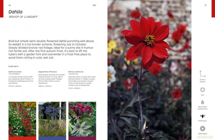 Gardeners' World: The Flower Thesaurus: Colourful Pairings and Plant Ideas for the Creative Gardener - Liz Potter [KSIĄŻKA]