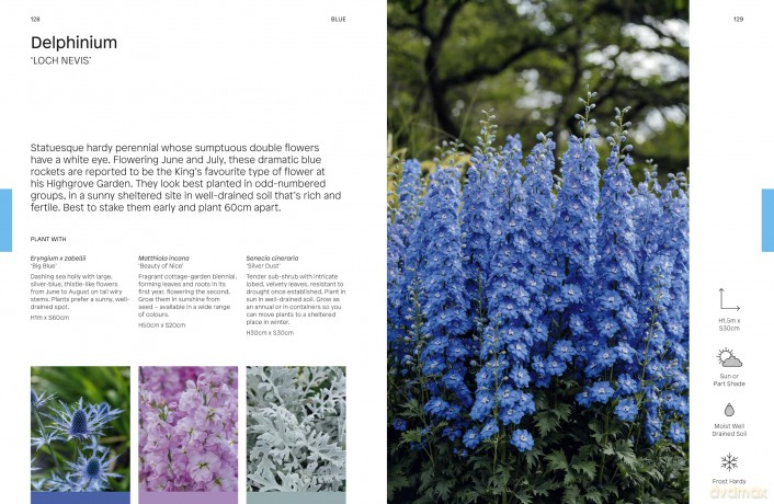 Gardeners' World: The Flower Thesaurus: Colourful Pairings and Plant Ideas for the Creative Gardener - Liz Potter [KSIĄŻKA]