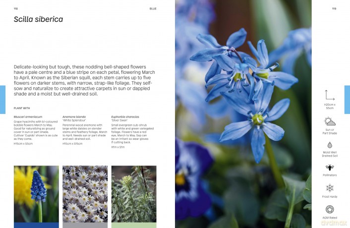 Gardeners' World: The Flower Thesaurus: Colourful Pairings and Plant Ideas for the Creative Gardener - Liz Potter [KSIĄŻKA]
