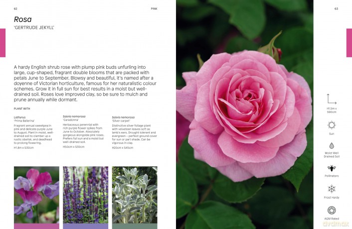 Gardeners' World: The Flower Thesaurus: Colourful Pairings and Plant Ideas for the Creative Gardener - Liz Potter [KSIĄŻKA]