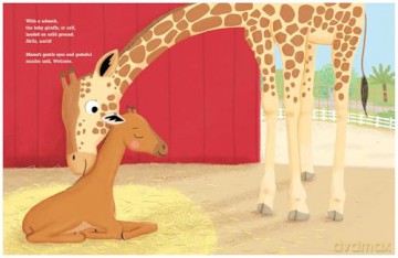 Not a Spot to Spot: The True Story of Kipekee, the Giraffe Born without Spots - Elizabeth Weiss Verdick [KSIĄŻKA]