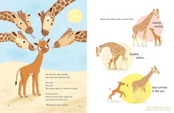 Not a Spot to Spot: The True Story of Kipekee, the Giraffe Born without Spots - Elizabeth Weiss Verdick [KSIĄŻKA]
