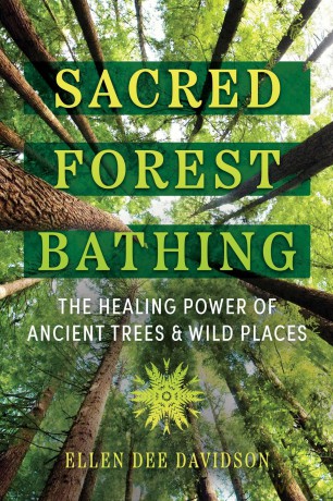 Sacred Forest Bathing: The Healing Power of Ancient Trees and Wild Places - Ellen Dee Davidson [KSIĄŻKA]