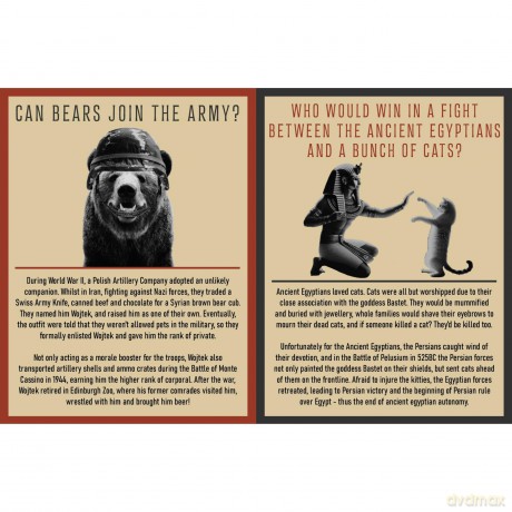Curious Man Thoughts: The Funny Gift Book For Men - Bee Three Books [KSIĄŻKA]