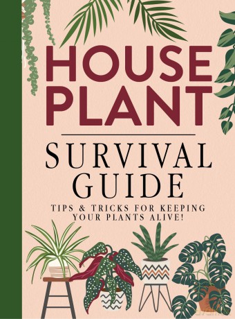 Houseplant Survival Guide - Tips and Tricks for Keeping Your Plants Alive - Bee Three Books [KSIĄŻKA]
