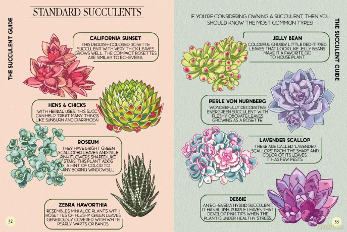 Houseplant Survival Guide - Tips and Tricks for Keeping Your Plants Alive - Bee Three Books [KSIĄŻKA]