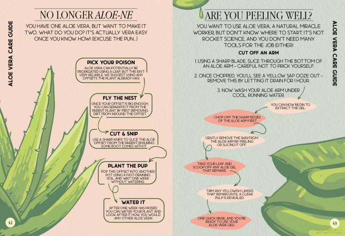 Houseplant Survival Guide - Tips and Tricks for Keeping Your Plants Alive - Bee Three Books [KSIĄŻKA]