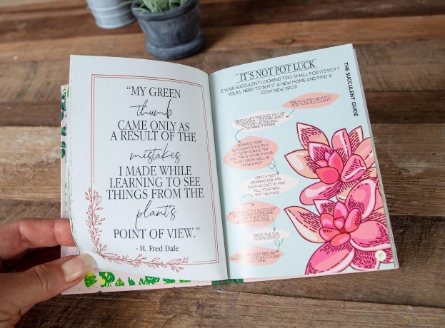 Houseplant Survival Guide - Tips and Tricks for Keeping Your Plants Alive - Bee Three Books [KSIĄŻKA]