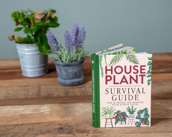 Houseplant Survival Guide - Tips and Tricks for Keeping Your Plants Alive - Bee Three Books [KSIĄŻKA]