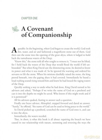 To Forever Inhabit this Earth: An Ethic of Enoughness - Nina Beth Cardin [KSIĄŻKA]