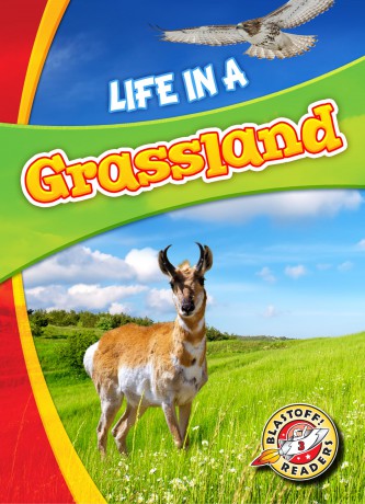 Life in a Grassland (Biomes Alive!) - Laura Hamilton Waxman [KSIĄŻKA]