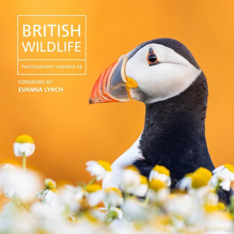 British Wildlife Photography Awards 13 - Will Nicholls [KSIĄŻKA]