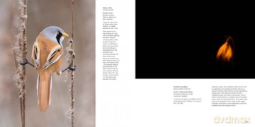 British Wildlife Photography Awards 13 - Will Nicholls [KSIĄŻKA]