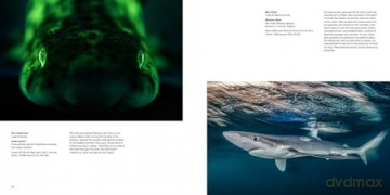 British Wildlife Photography Awards 13 - Will Nicholls [KSIĄŻKA]